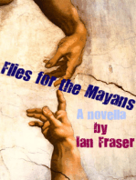 Flies for the Mayans