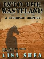 Into the Wasteland: A Dystopian Journey