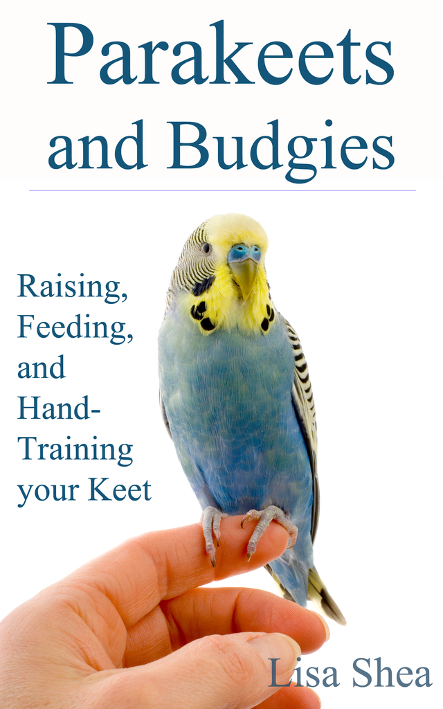 Parakeets And Budgies Raising, Feeding, And HandTraining Your Keet by