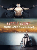 Little Light Episode Three: Stormie Knight
