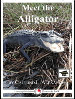 Meet the Alligator: Educational Version