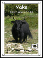 Yaks: Hairy Cows of Asia: Educational Version