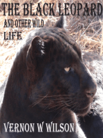 The Black Leopard and Other Wild Life