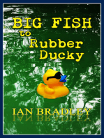 Big Fish to Rubber Ducky