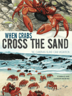 When Crabs Cross the Sand