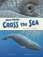 When Whales Cross the Sea