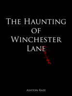 The Haunting of Winchester Lane
