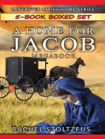 A Lancaster Home for Jacob 5-Book Boxed Set Bundle