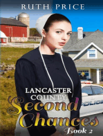 Lancaster County Second Chances - Book 2