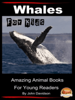 Whales For Kids