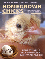 Incubating and Hatching Homegrown Chicks: Permaculture Chicken, #4