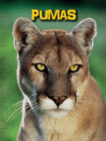 Pumas