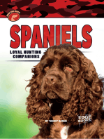 Spaniels: Loyal Hunting Companions