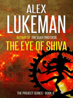 The Eye of Shiva: The Project, #8