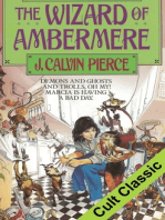The Wizard of Ambermere
