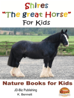 Shires "The Great Horse" For Kids