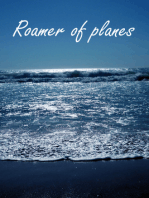 Roamer of Planes