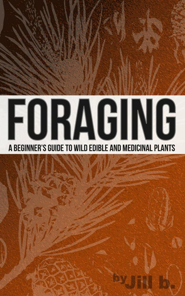 Foraging A Beginner's Guide to Wild Edible and Medicinal Plants by