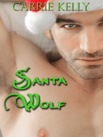 Santa Wolf
