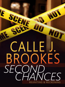 Second Chances: A PAVAD Duet: PAVAD: FBI Romantic Suspense, #5