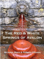 The Red and White Springs of Avalon