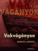 Vakvágányon