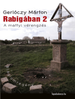 Rabigában 2: A mattyi vérengzés - Plágiumregény