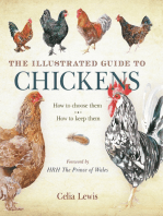 The Illustrated Guide to Chickens: How To Choose Them - How To Keep Them