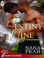 Destiny Mine (Destiny African Romance #2)