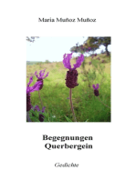 Begegnungen Querbergein: Gedichte