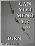 Can You Mend It? Part 2: Torn