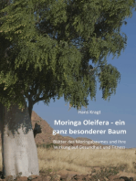 Moringa Oleifera – ein ganz besonderer Baum: Blätter des Moringabaumes und Ihre Wirkung auf Gesundheit und Fitness