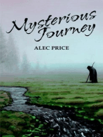 Mysterious Journey