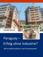 Paraguay - Erfolg ohne Industrie?: Wirtschaftsstrukturen und Praxisbeispiele