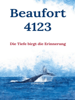 Beaufort 4123