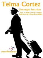 Overnight Sensation: AeroRomance Series, #2