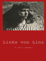 Links von Linz: Geschichten