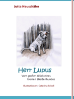 Herr Lupus - Vom großen Glück eines kleinen Straßenhundes: Illustrationen von C. Scholl