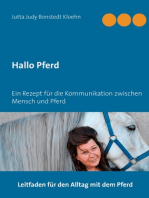 Hallo Pferd