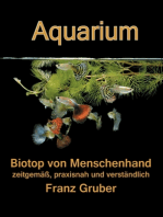 Aquarium-Biotop von Menschenhand: zeitgemäß, praxisnah und verständlich