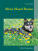 Mein Hund Benno