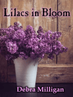 Lilacs in Bloom