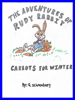 The Adventures Of Rudy Rabbit "Carrots for Winter"