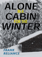 Alone in a Cabin for the Winter