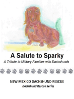 A Salute to Sparky