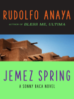 Jemez Spring