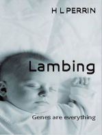 Lambing