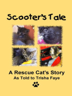 Scooter's Tale