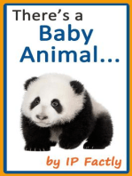 There's a Baby Animal...