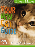 Your New Cat Guide